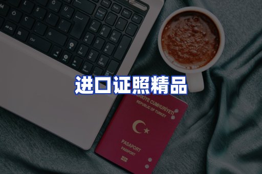 进口证件页面制证